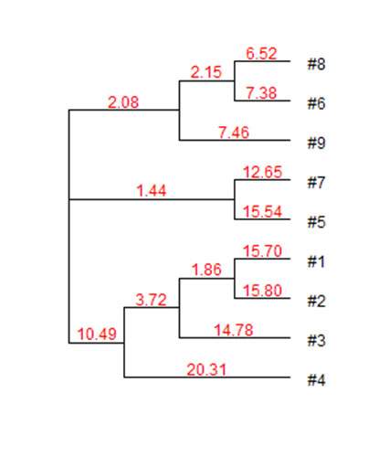 条带聚类分析得到的树状图横线上的数字代表什