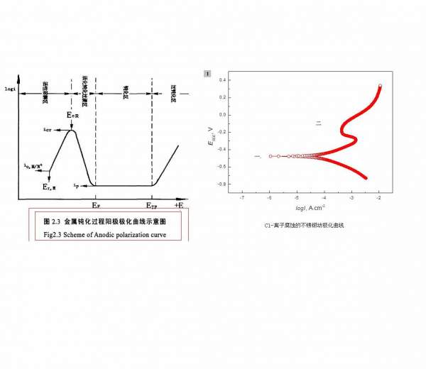 关于动极化曲线分析