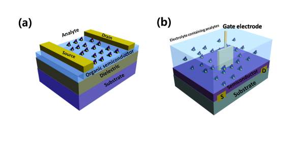 reviews 最新review "organic semiconductors in organic thin-film