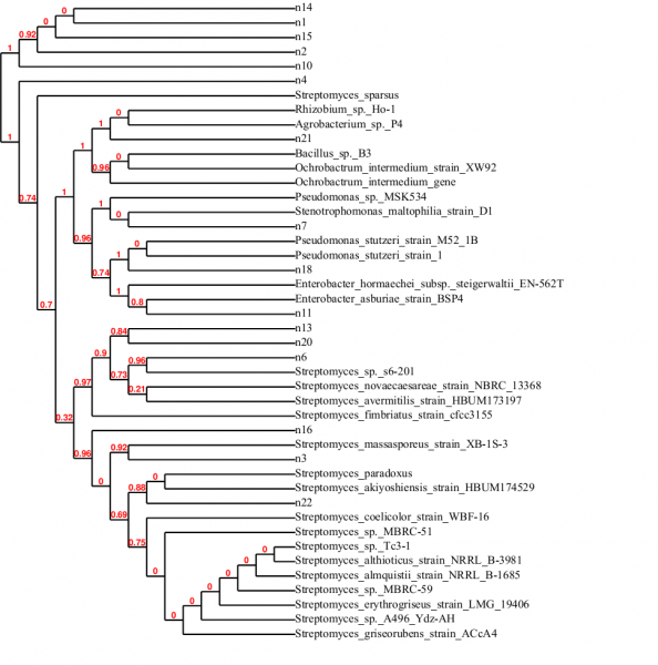系统发育树，写论文碰到的问题