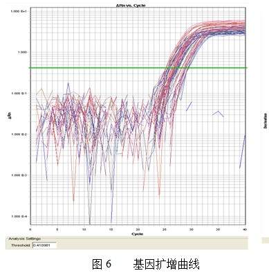 扩增曲线 实例.jpg