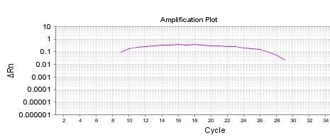 qpcr扩增曲线异常