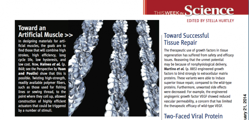 artificial muscles from fishing line and sewing thread pdf