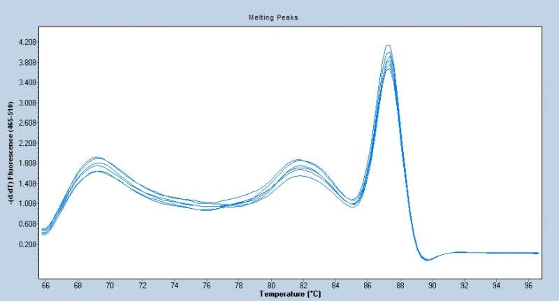 溶解曲线不好荧光定量pcr的数据就用不了吗?