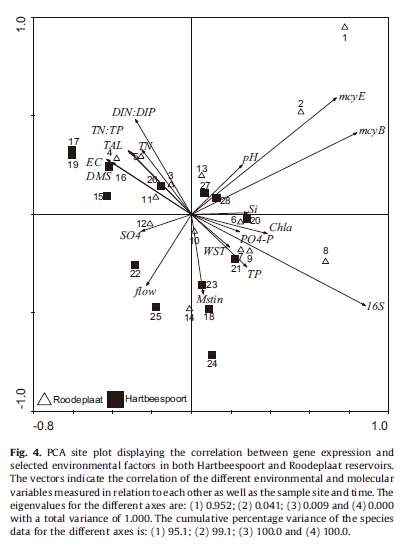 两个样方的物种一环境因子PCA分析
