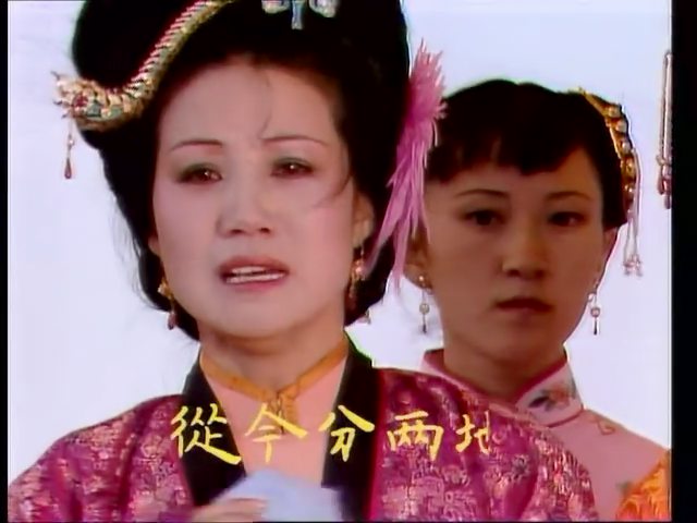 她的身份是贾链的父亲赐给儿子的一个礼物.