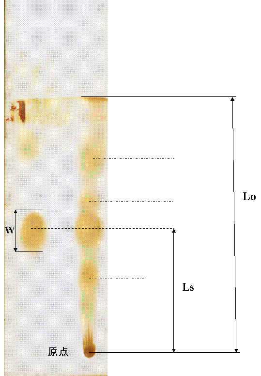 tlc-薄层色谱谱图解析 高手指点 - 分析 - 色谱质谱 - 小木虫论坛