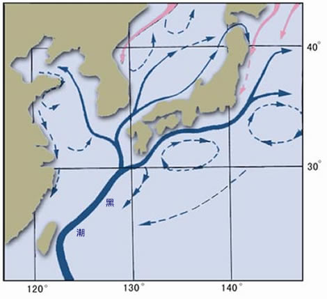 日本暖流从中国沿海往东北方向流到日本,随后遇到千岛寒流,北上