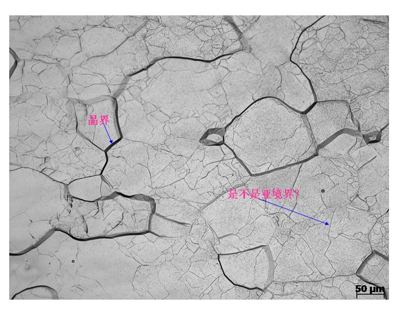 想下图片中箭头指的是亚晶界么?那些小晶粒是亚晶么?