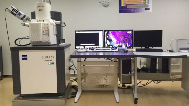 提供热场发射Zeiss SEM-EDS Brucker XRD 测