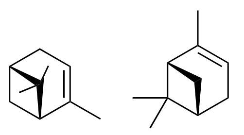 org/wiki/pinene   这个网页上这两种结构都有,好像都是指左旋α-蒎烯