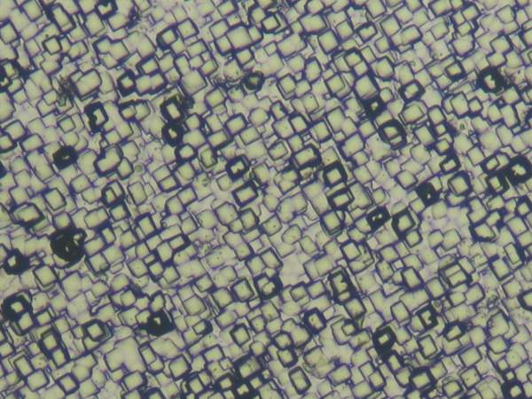 单晶图片显微镜下图片