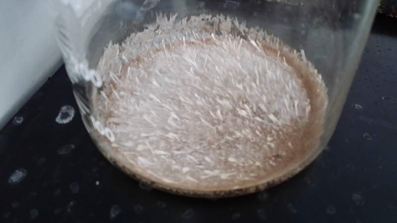 通过重结晶,快速吸出晶体问题