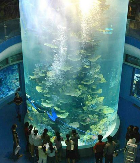 去美国做博后,咨询下美国和澳洲观赏鱼市场如何?水族馆多么?