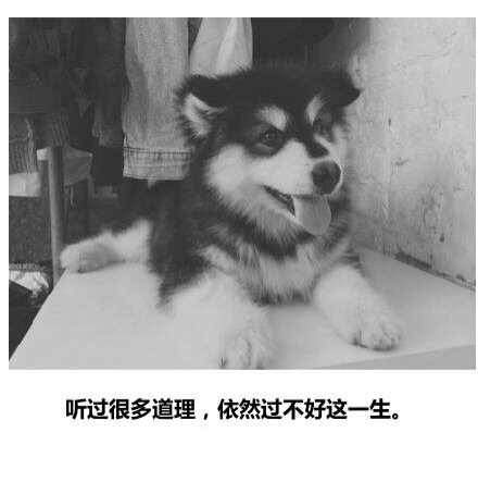 【紫玉专帖】后会无期~~~-1