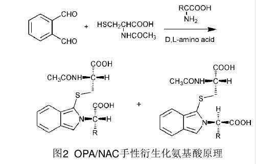 邻苯二甲醛结构式图片