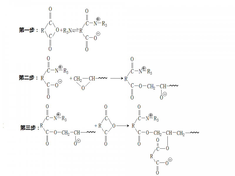 環氧與酸酐叔胺反應機理的疑問