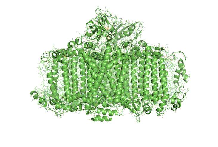 求助:求一个用软件画的膜蛋白的示意图, - 分子生物 - 生物化学 - 小