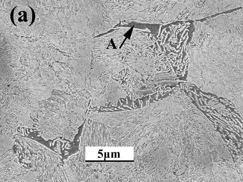过共析钢金相图片