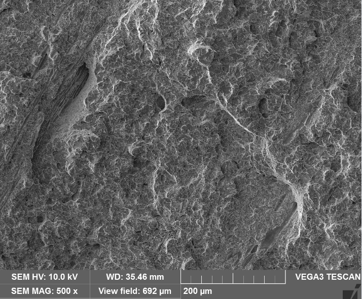 请大神帮忙分析一下这个sem图片属于疲劳断裂还是冲击