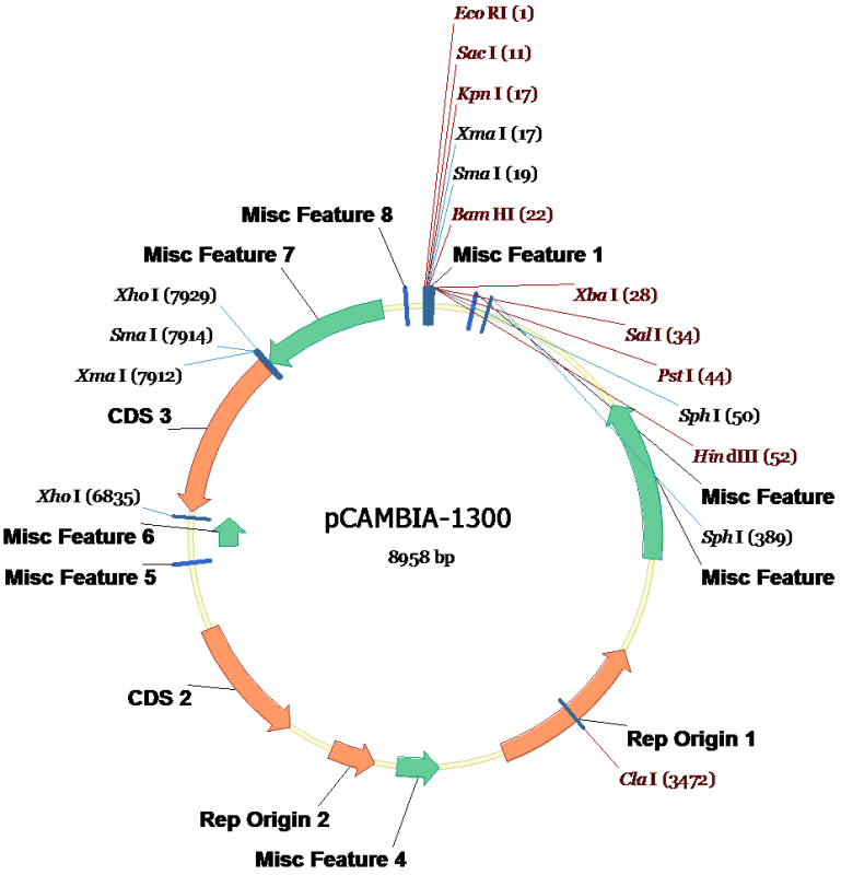 生物科学类专业_科学生物类专业有哪些_科学生物类专业就业前景