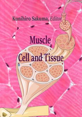 muscletissue图片