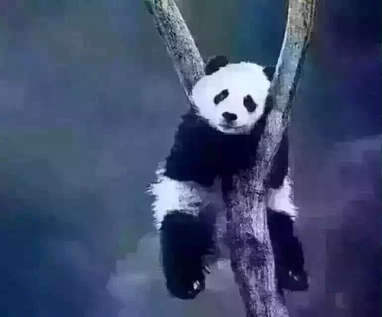 专治各种不开心 - 休闲灌水 - 木虫笑林 - 小木虫论坛-学术科研互动