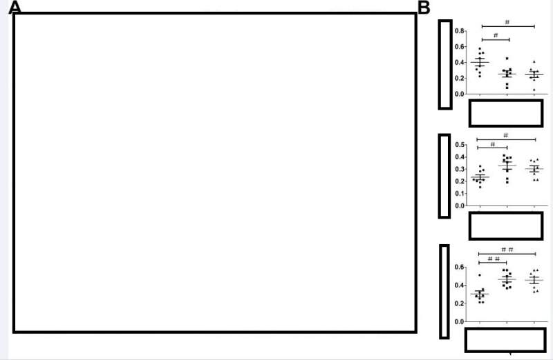 投稿后修回,其中有个审稿人的意见不太清楚他是什么意思,求大神解释下