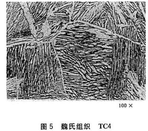 tc4钛合金金相组织图片