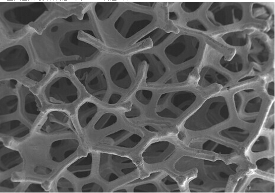 谁能用3dmax画泡沫镍那样的网状体呢