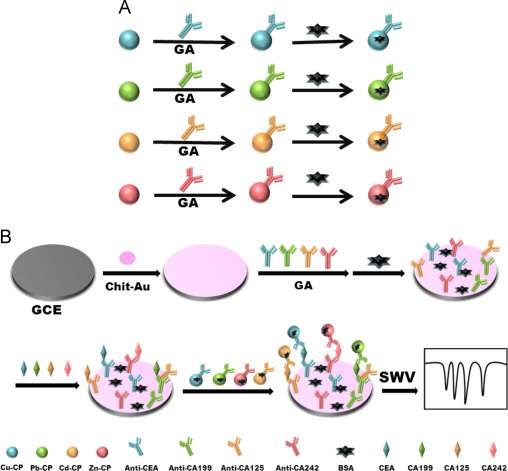 2016年 首都师范大学——化学系——马占芳课题组——接受硕士调剂生