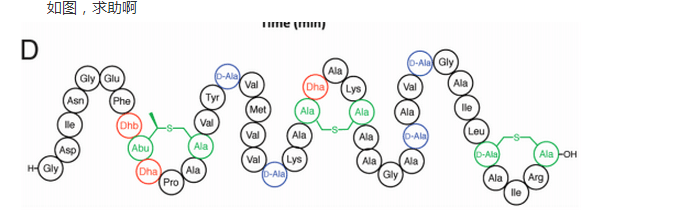 多肽链结构图图片