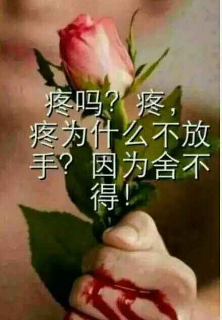 网络生活区 休闲灌水 祝福许愿 结束了……祝你比我幸福!