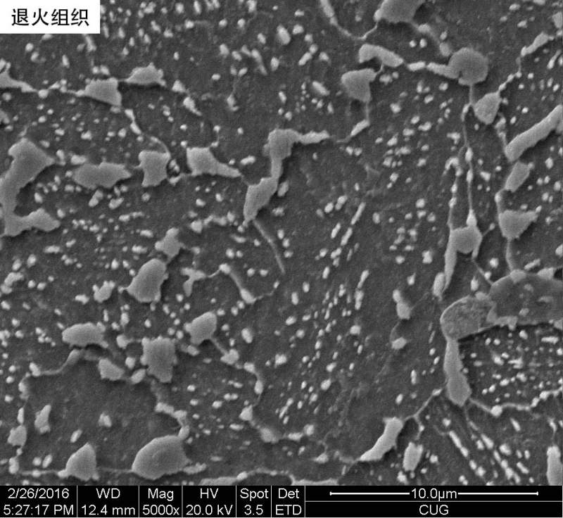 亚共析钢组织图图片