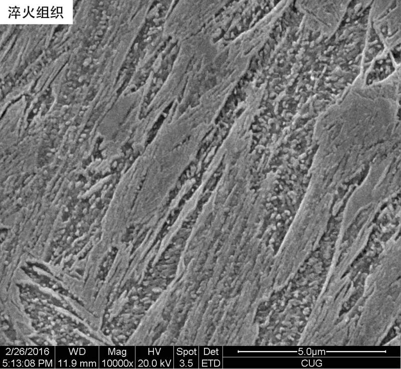 亚共析钢组织图图片