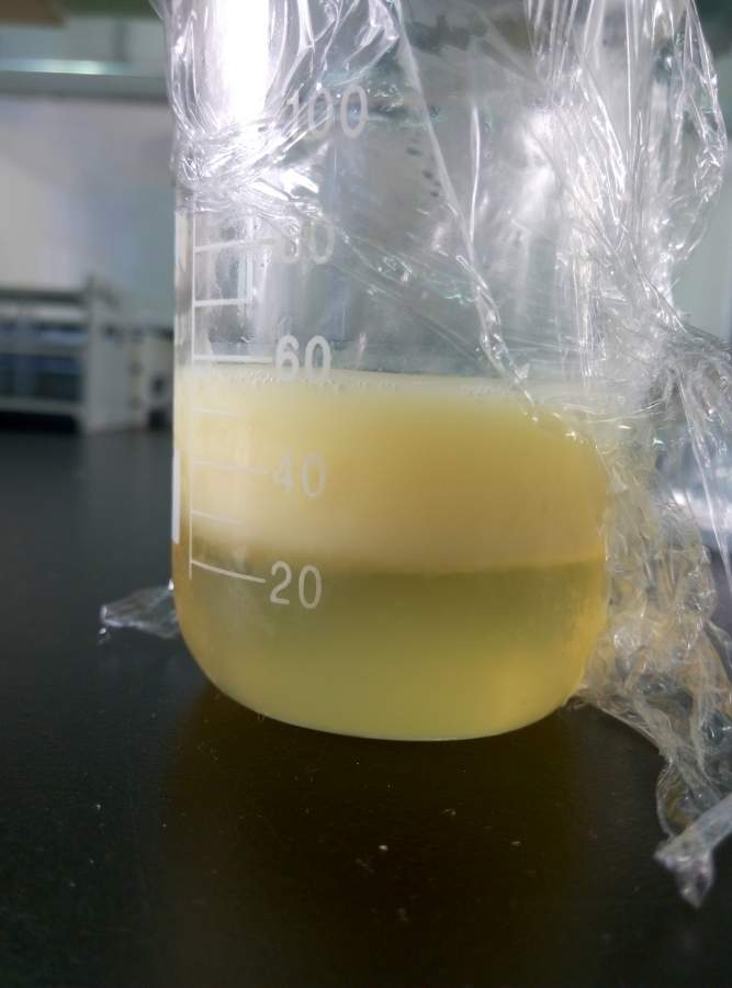 硫酸铵盐析纯化卵黄抗体遇到问题