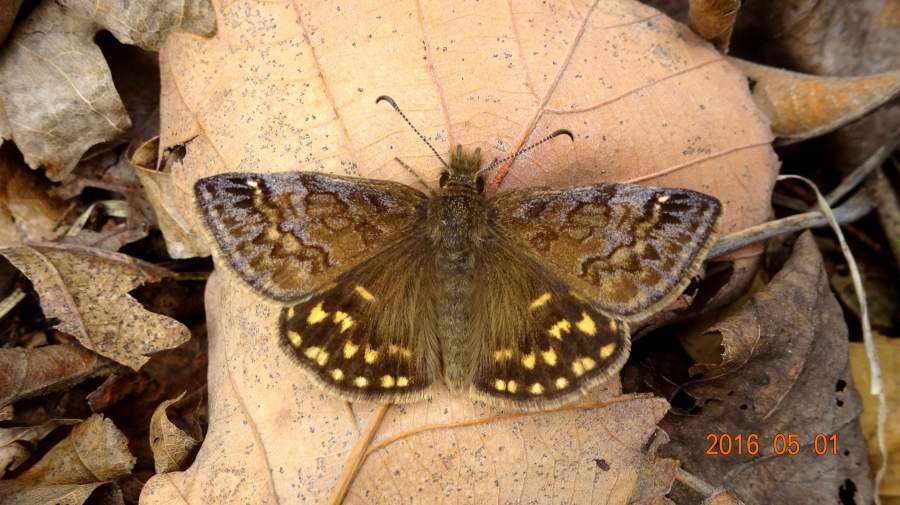 长春的自然春季篇第二季三42152天气进一步转暖