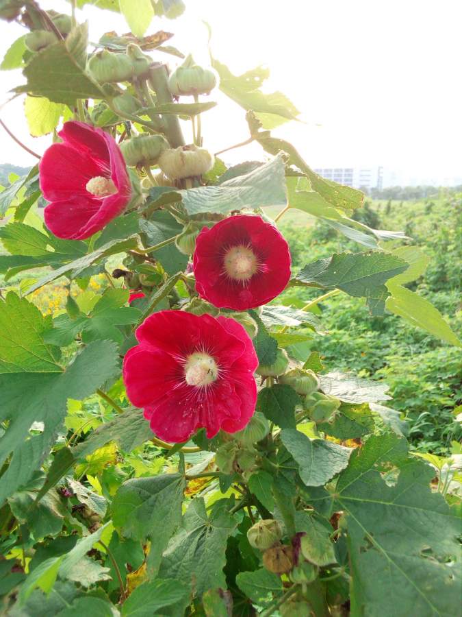 工作的开始是否意味着学生时代的结束?