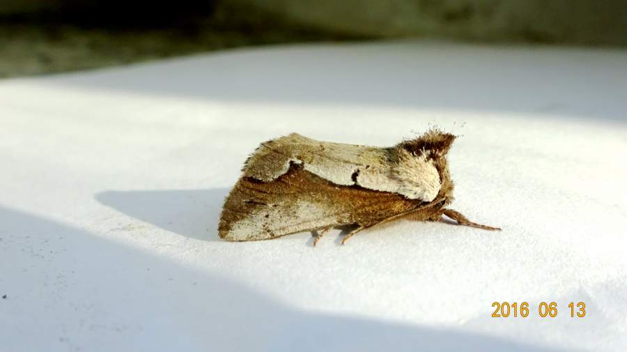 长春的自然第二季夏季篇三68617阴雨连绵气温不温不火