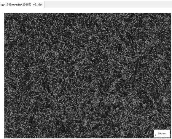 回火索氏体金相组织图图片