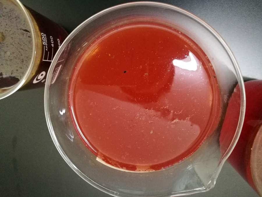 请问有木有养过趋磁细菌的大神,求交流!