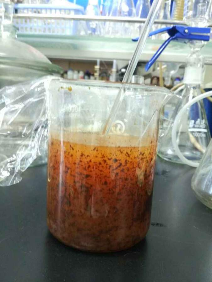 乙醇沉淀多糖为糖浆状