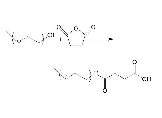 將丁二酸酐開環聚合到聚乙二醇上的反應機理應該從哪一方面入手