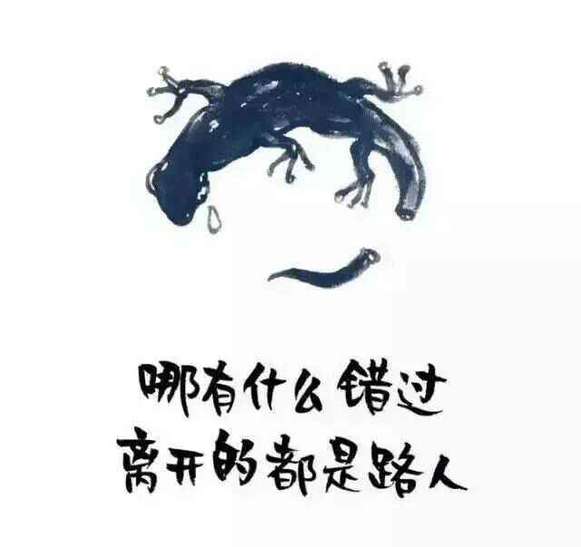 哪有什么错过,离开的都是路人