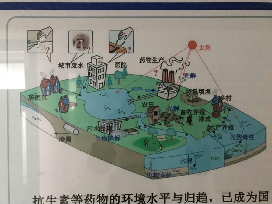 污染物在环境中的循环图用什么工具画出来?