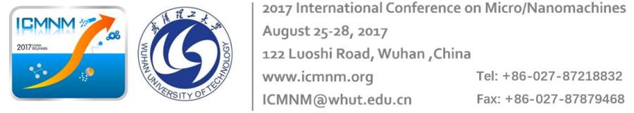 第一届国际微纳米马达会议