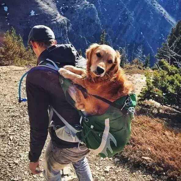 分享- 休闲灌水 - 休闲时尚 - 小木虫论坛-学术科研互动平台