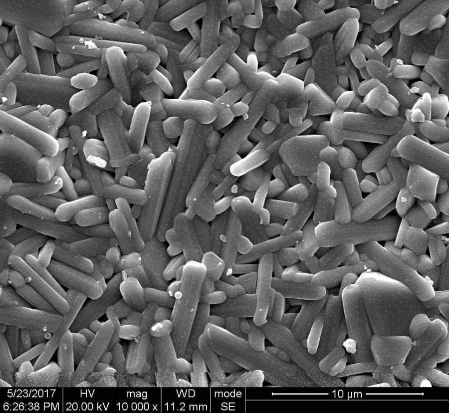 分析一下这张sem图片