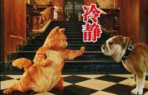 时隔5年,再次冷静!