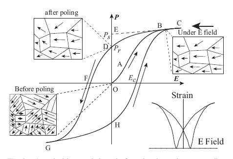 电滞回线像指纹一样反映铁性材料的结构与性能